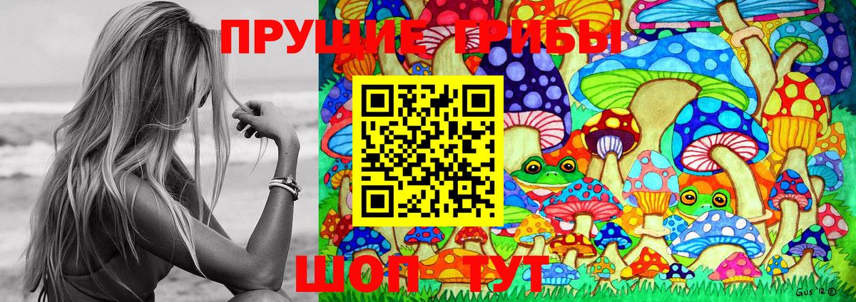 Галлюциногенные грибы Psilocybe  Галлюциногенные грибы Psilocybine cubensis  Вход с VPN  Алатырь 