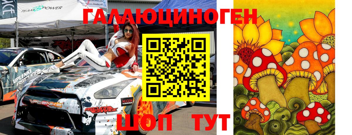 Галлюциногенные грибы Psilocybine cubensis Алатырь